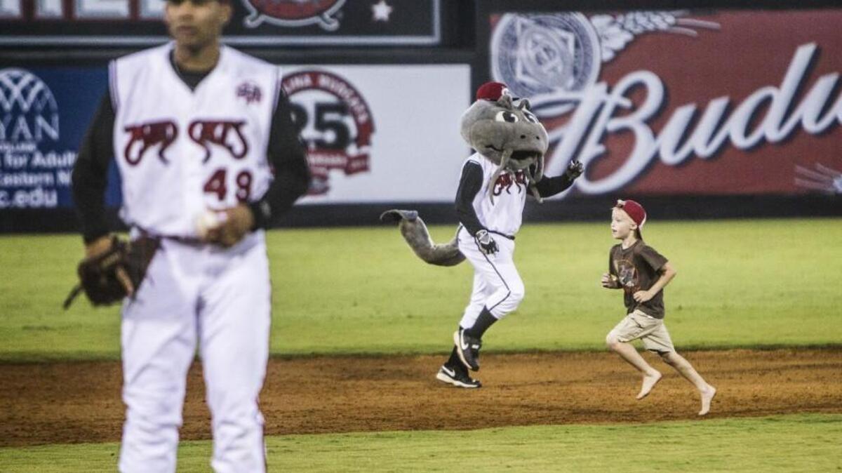 
Muddy the Mudcat races Harmon Glasco, 7, of Clayton around the bases prior to the top of the fourth inning Wednesday, August 19, 2015 as the Mudcats took on the Salem Red Sox at Five County Stadium in Zebulon.
