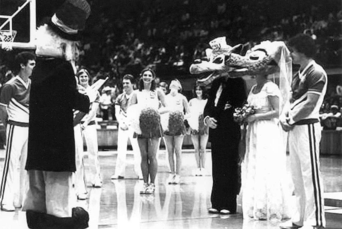 Mr. and Ms. Wuf, the mascots for N.C. State University athletic teams, were married during halftime of the Wolfpack's basketball game against Wake Forest on Feb. 28, 1981, at Reynolds Coliseum. The Wake Forest Demon Deacon mascot presided.