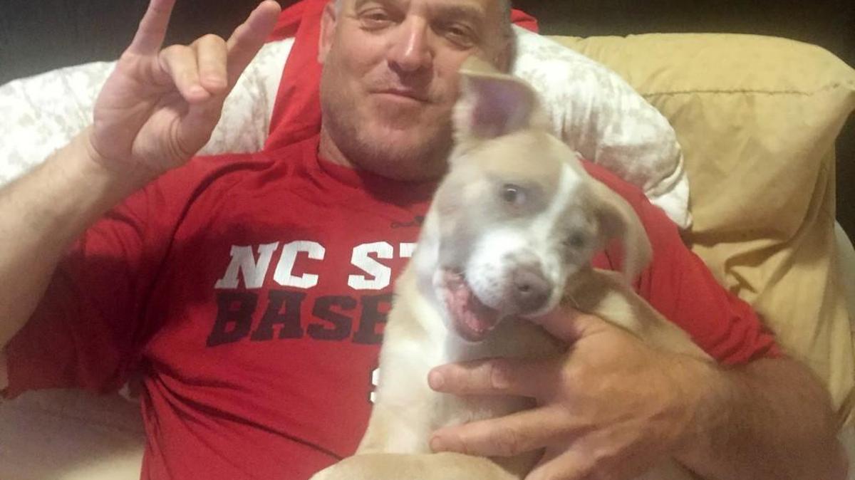 N.C. State baseball coach Elliott Avent and his puppy Sammi rest on Thursday after both were bit by a copperhead on Wednesday.