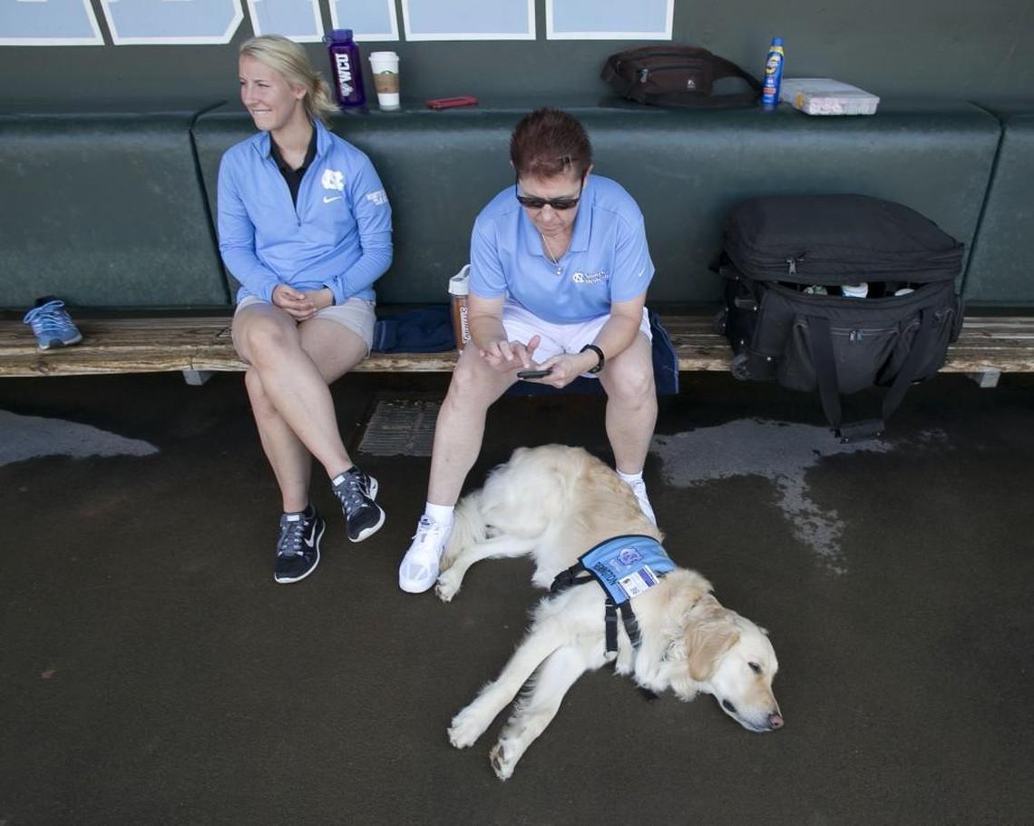 Terri Jo Rucinski, right, coordinator for UNC’s campus health physical therapy department and trainer for the UNC baseball team, sits with REMINGTON, a golden retriever service dog that joined the staff. REMINGTON, who works as a psychiatric medical alert facility rehabilitation service dog, and Rucinski were at a Tar Heels’ baseball practice last season.