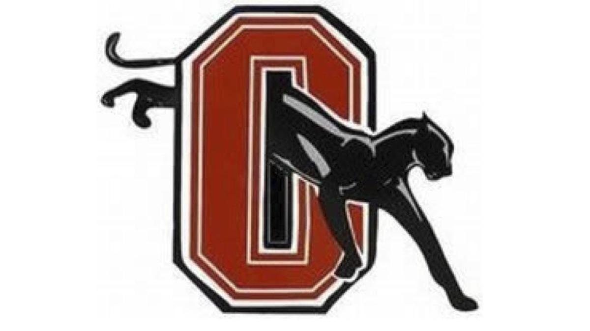 Orange Panthers logo.