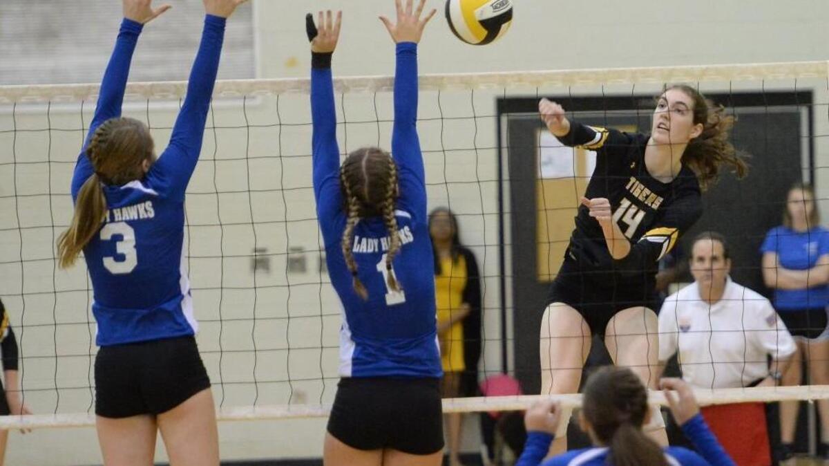 Kaya Merkler (14) of Chapel Hill spikes the ball past the attempted block from Leanna Parker (1) and Taylor Gainey (3) of Triton. The Chapel Hill Tigers played the Triton Hawks in a volleyball game that took place in Chapel Hill, N.C. on Thursday, November 3, 2016. Chapel Hill won 3-0.