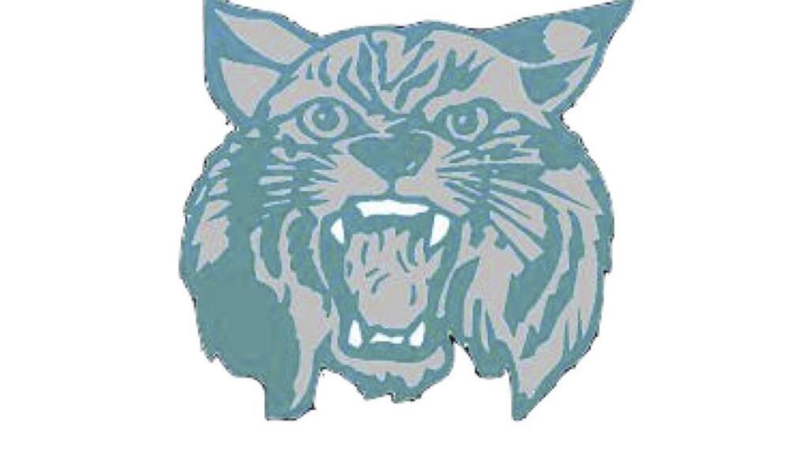 Brummitt steps up as West Johnston softball stops Fuquay-Varina