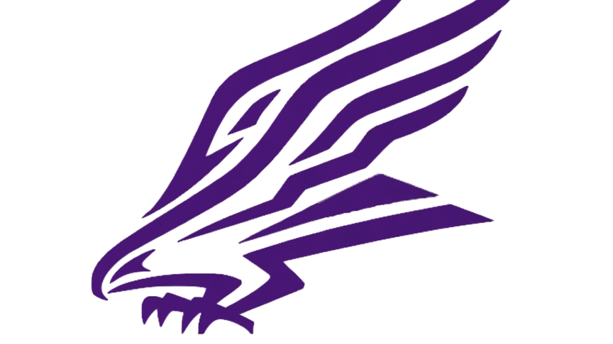 Northern Guilford Nighthawks logo.