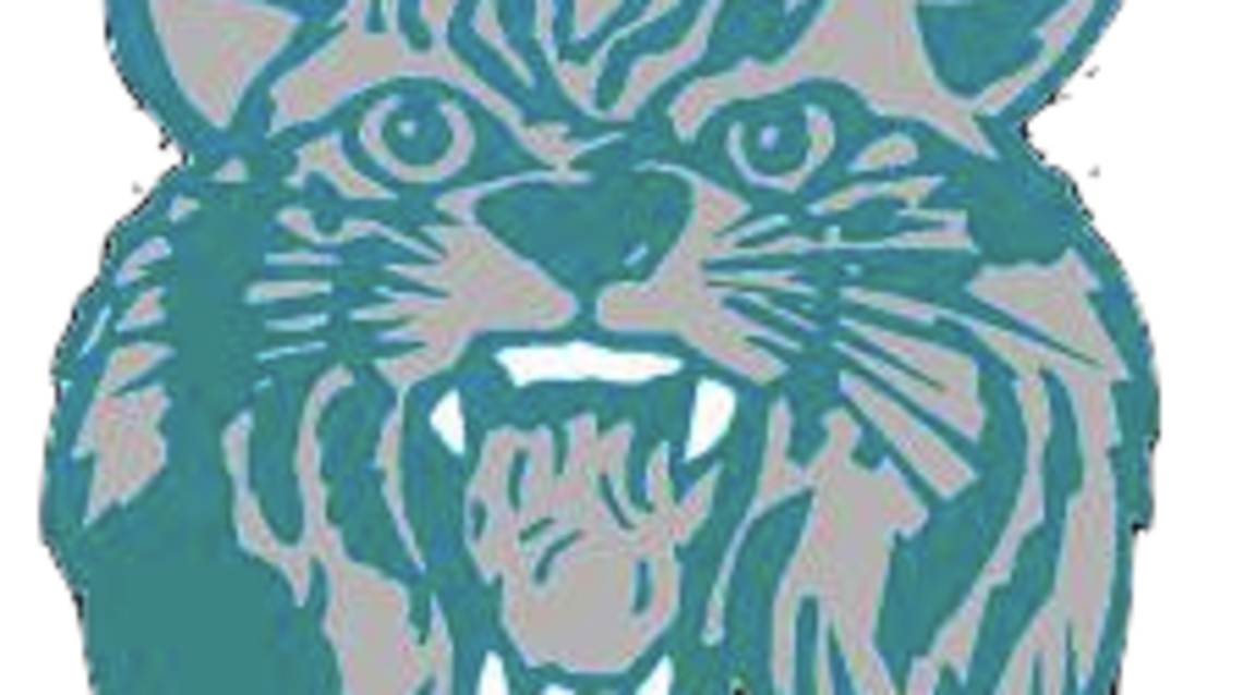 West Johnston sets school record in dominant football win over Knightdale