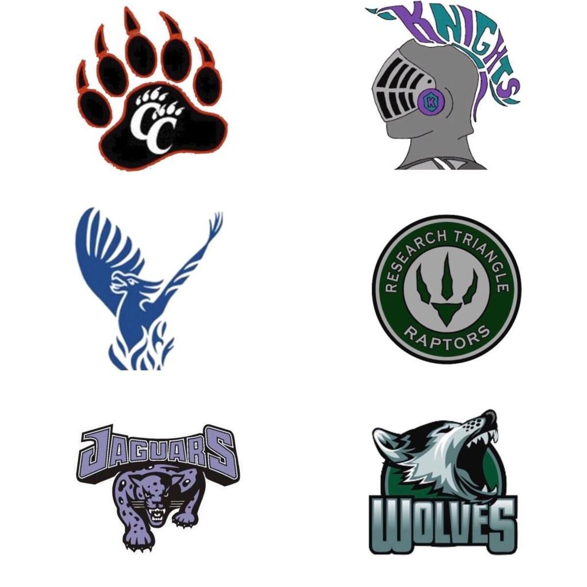 Central Tar Heel Conference: Chatham Central Bears, Chatham Charter Knights, Raleigh Charter Phoenix, Research Triangle Raptors, River Mill Academy Jaguars, Woods Charter Wolves.