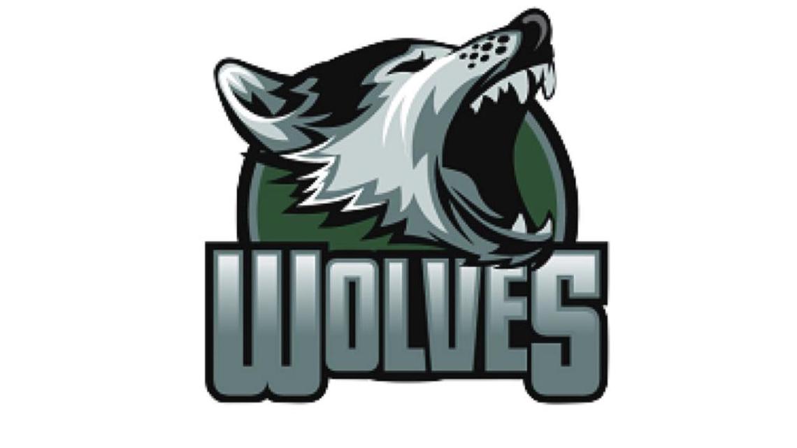 Woods Charter girls soccer shuts out Spring Creek, heads to 1A East final