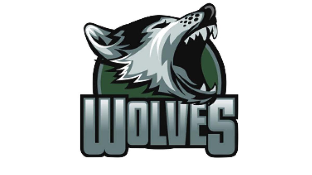 Woods Charter Wolves logo.