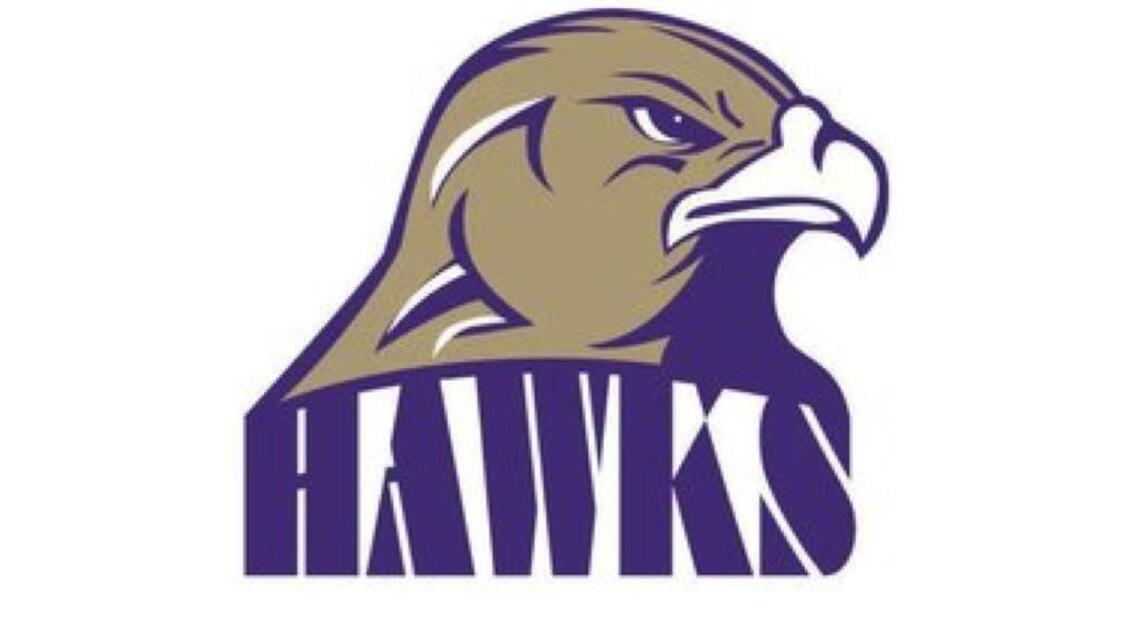Holly Springs wrestling withstands Middle Creek’s upset bid