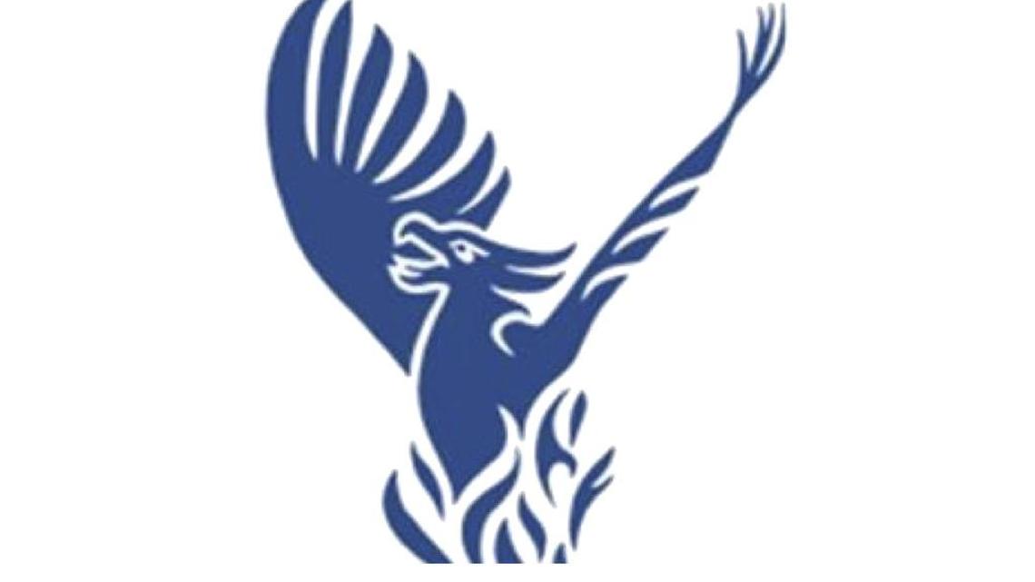 Raleigh Charter heads back to state title, sweeps Voyager Academy