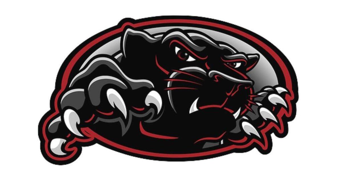 North Johnston Panthers logo.