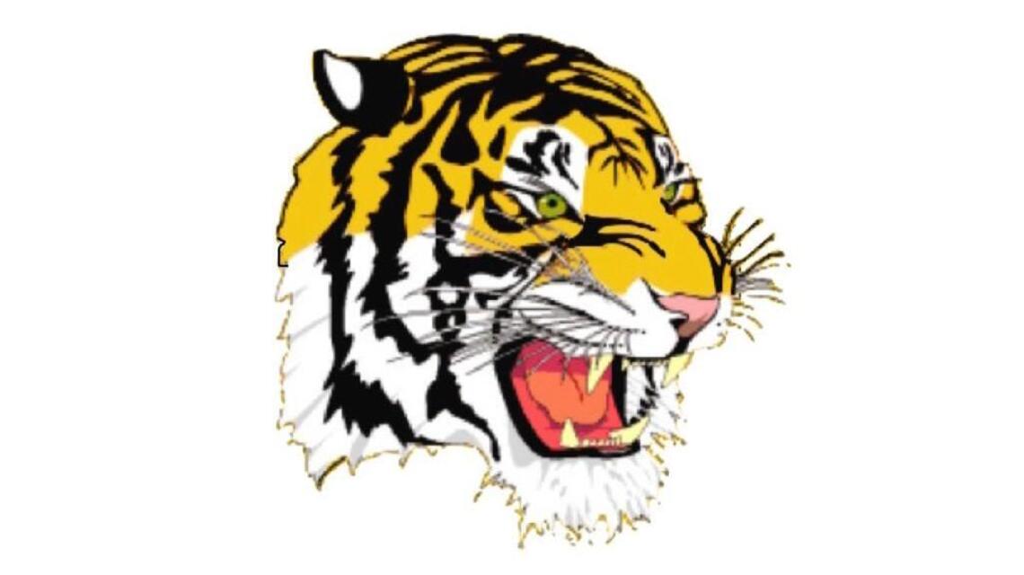 Chapel Hill boys basketball upsets Orange