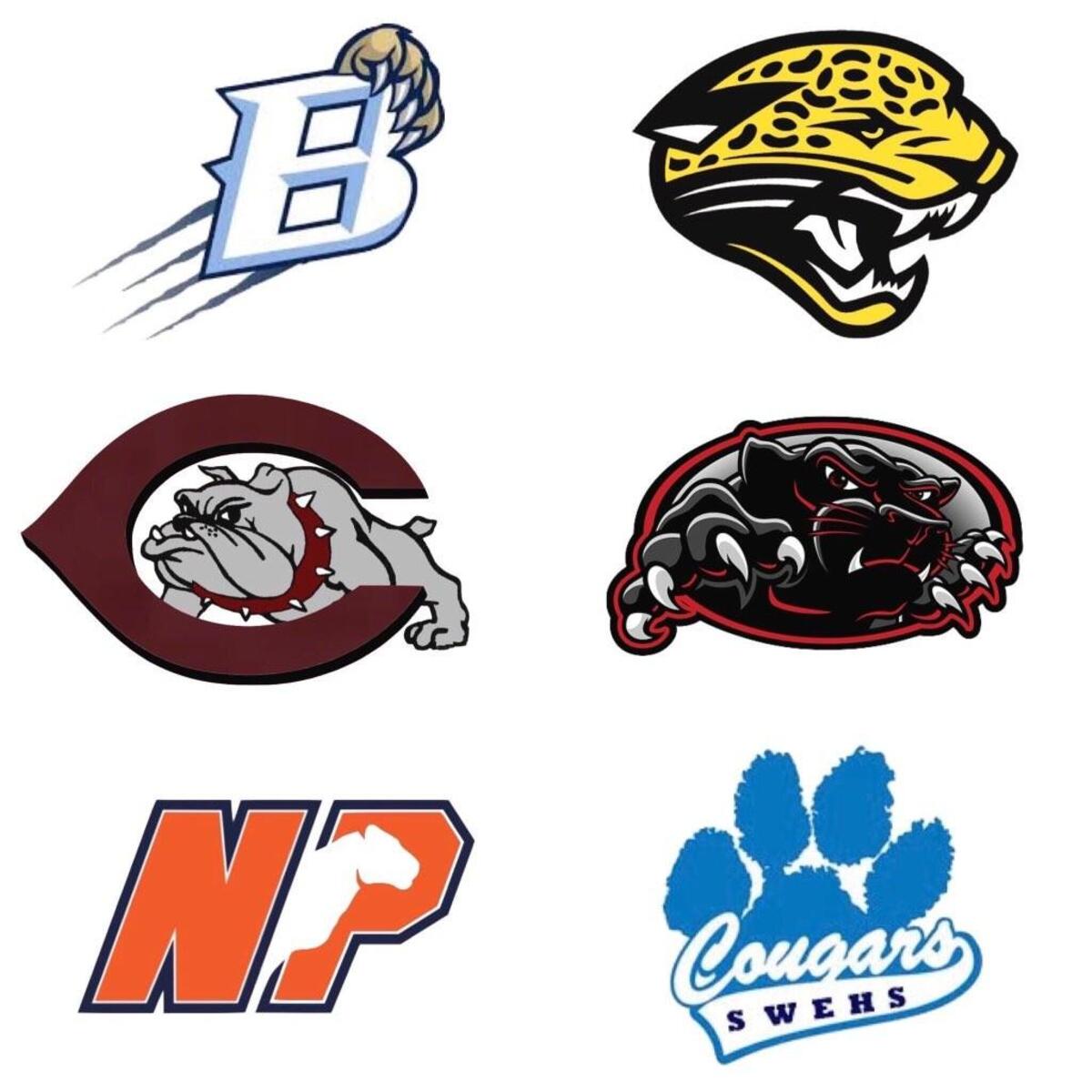 Eastern Plains Conference: Beddingfield Bruins, Farmville Central Jaguars, Nash Central Bulldogs, North Johnston Panthers, North Pitt Panthers, SouthWest Edgecombe Cougars.