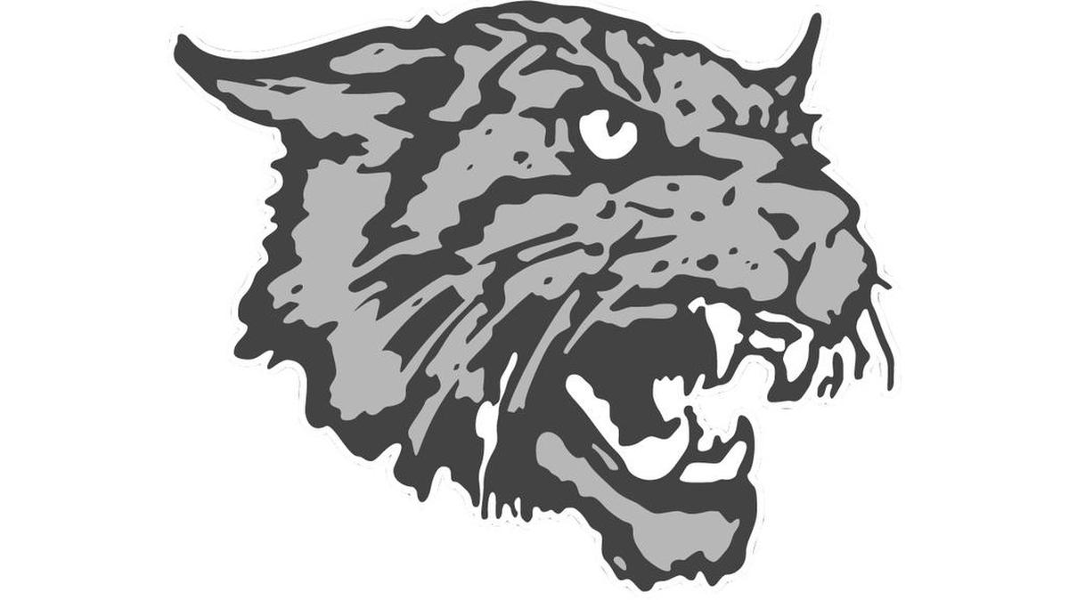 East Chapel Hill Wildcats logo.