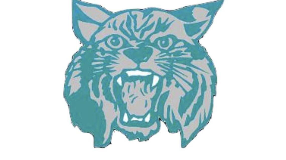 West Johnston football starts fast, rolls past Rolesville