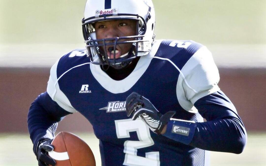 
Hillside's Vad Lee used his versatility to throw for 30 touchdowns and run for 22 more in 2010. 
