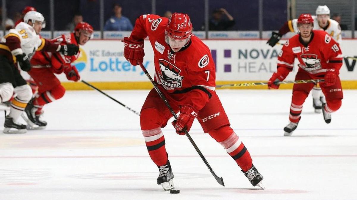 The Charlotte Checkers will still play at home Wednesday despite the snow, but fans will not be allowed into Bojangles’ Coliseum.