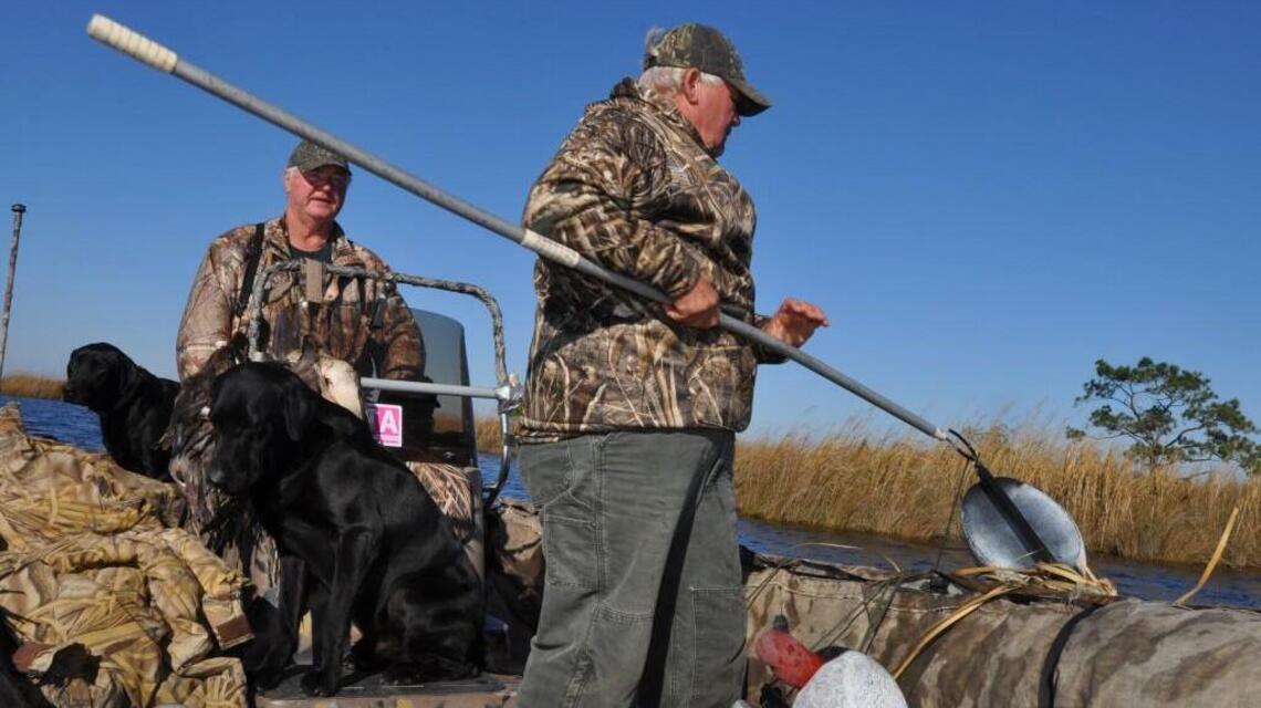 Duck hunters revel in the ‘amazing’ things their dogs can do