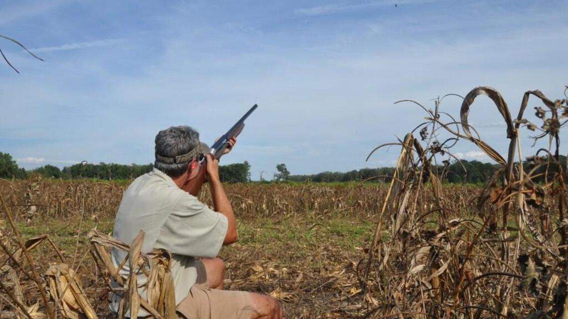 NC Handicapped Sportsmen taking veterans dove hunting