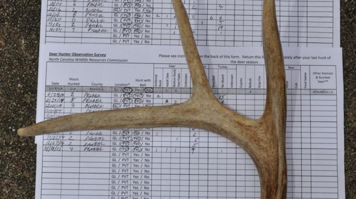 Commission seeks deer hunter observation survey participants