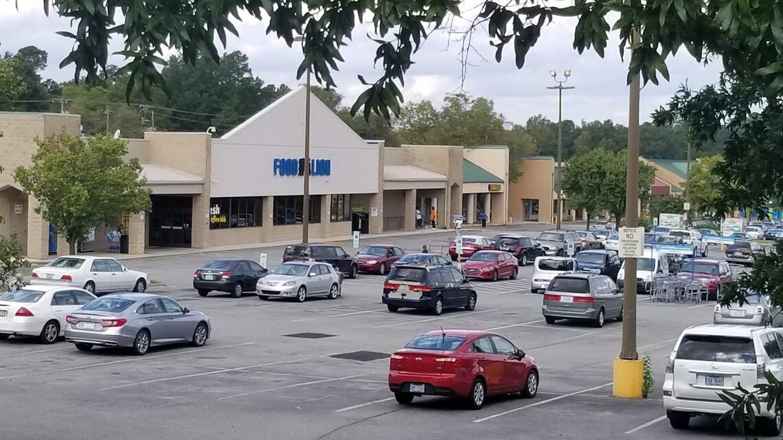 Food Lion, no more potholes: What Durham residents want in Lakewood’s future